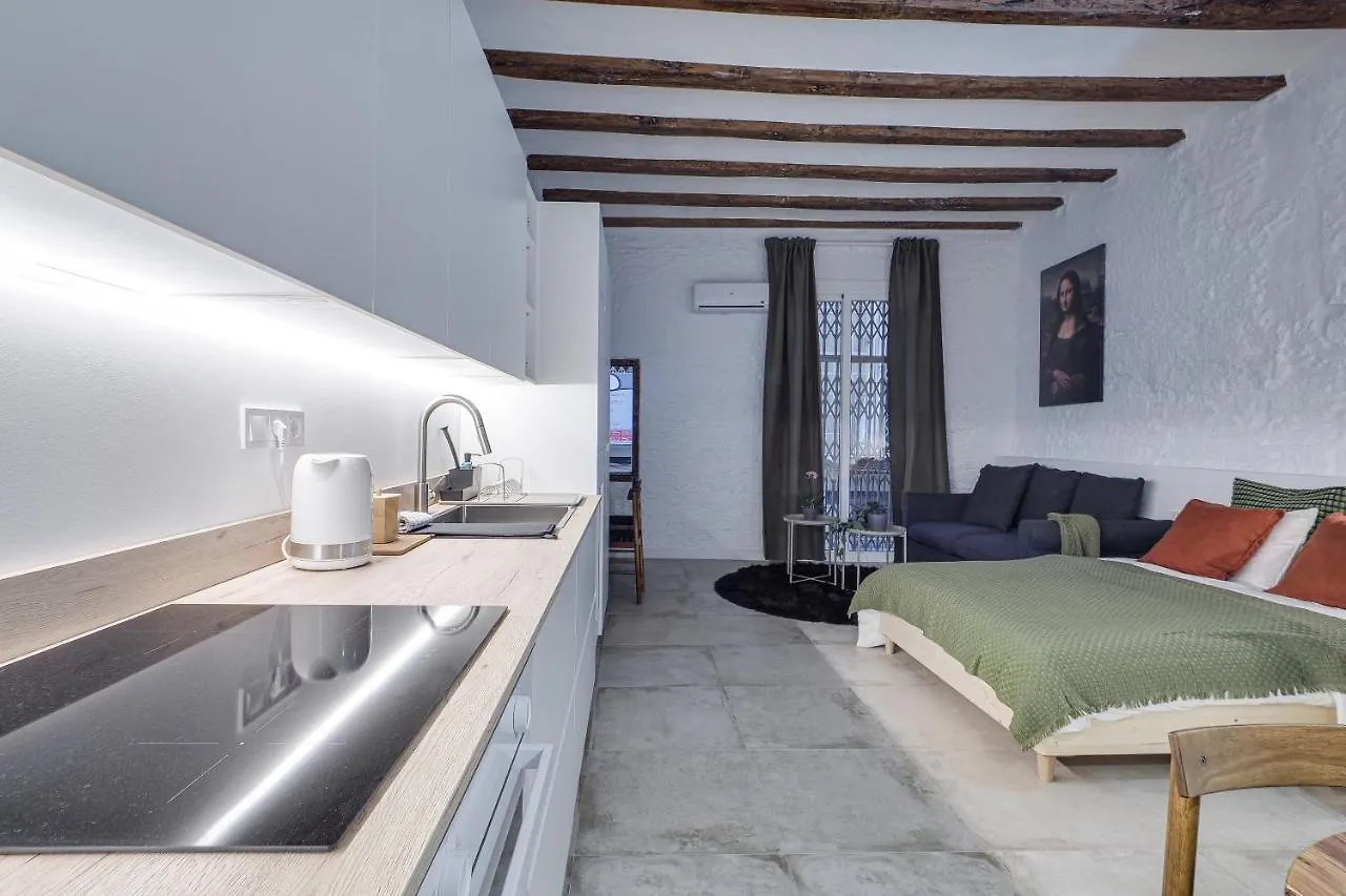 Mr Born Apartment Barcelona